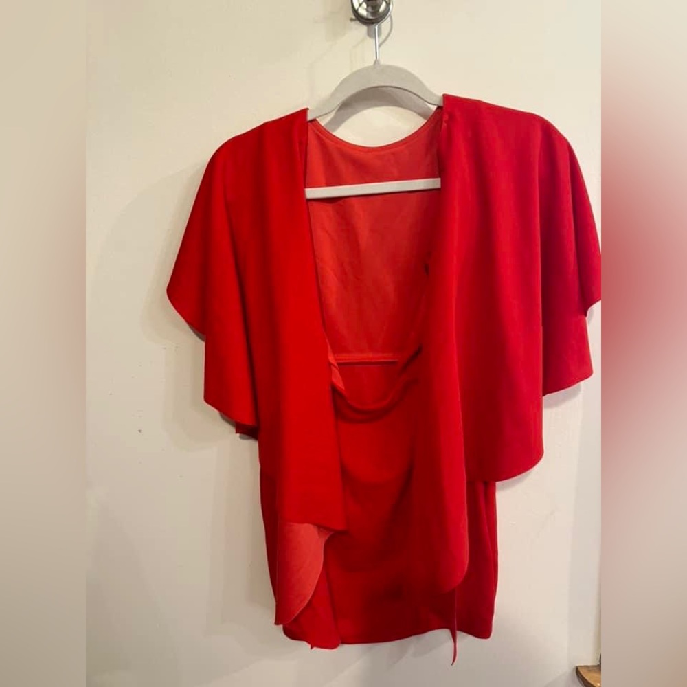 Red Dress - Picture 2 of 2